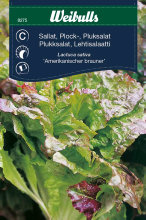 Pluksalat 'Amerikansk brun'